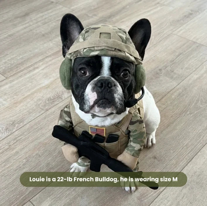 DutyPaws- Soldier Outfit